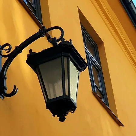 Apartment Olejna 12